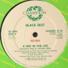Black Riot - A Day In The Life (A Day In London Mix / Another Day In London Mix) / Warlock