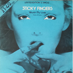 Sticky Fingers - Wastin My Love (As Sampled By Joey Negro & Z Factor) / Party Song