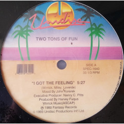 Two Tons Of Fun - I Got The Feeling / Earth Can Be Just Like Heaven / Do You Wanna Boogie (Long Versions) In Shrink Wrap