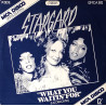 Stargard - What You Waitin For (US Discomix) / Smile