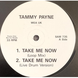 Tammy Payne - Take Me Now (Loop Mix / Live Drum Version / Paul Harris Vocal Mix) Vinyl Promo
