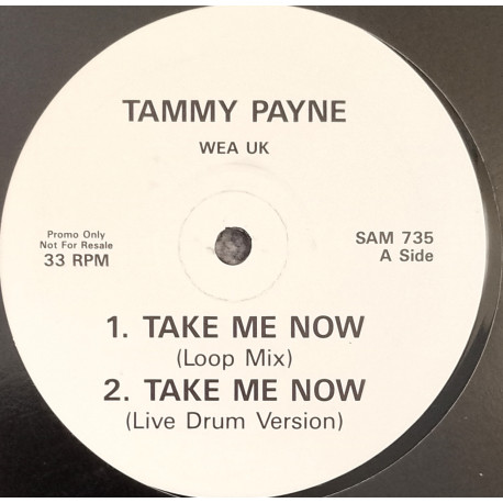 Tammy Payne - Take Me Now (Loop Mix / Live Drum Version / Paul Harris Vocal Mix) Vinyl Promo