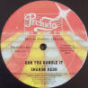 Sharon Redd - Can You Handle It (Francois Kevorkian Remix) / You Got My Love (Francois Kevorkian Remix)