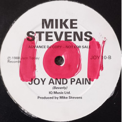 Mike Stevens - Joy and Pain (12" Vinyl Record Promo)