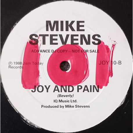 Mike Stevens - Joy and Pain (12" Vinyl Record Promo)