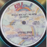 Silvetti - Spring Rain (Long Version / Short Version)