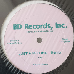 Two Tons Of Fun - I Got The Feeling (Original Mix / Master Remix) Still In Shrink Wrap