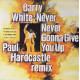 Barry White - Never never gonna give you up (2 Paul Hardcastle Mixes) / September when I first met you (12" Vinyl Record)