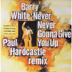 Barry White - Never never gonna give you up (2 Paul Hardcastle Mixes) / September when I first met you (12" Vinyl Record)