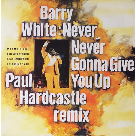 Barry White - Never never gonna give you up (2 Paul Hardcastle Mixes) / September when I first met you (12" Vinyl Record)