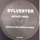 Sylvester - Mighty Real (2 David Morales Millenium Mixes)