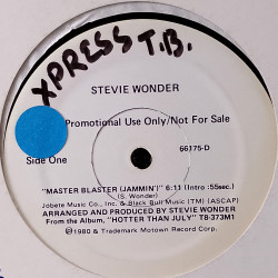 Stevie Wonder - Master Blaster (Jammin) Long Version / Dub (Vinyl Promo) Writing On Label See Pic