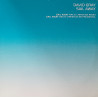 David Gray - Sail Away (Rae & Christian Remix / Rae & Christian Instrumental) Vinyl Promo