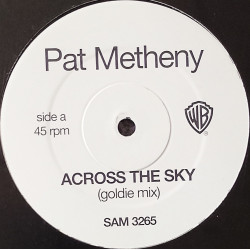 Pat Metheny - Across The Sky (Goldie Mix / Goldie Bass Variation) Vinyl Promo Drum & Bass Mixes