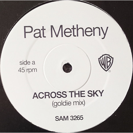 Pat Metheny - Across The Sky (Goldie Mix / Goldie Bass Variation) Vinyl Promo Drum & Bass Mixes