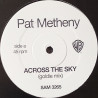 Pat Metheny - Across The Sky (Goldie Mix / Goldie Bass Variation) Vinyl Promo Drum & Bass Mixes