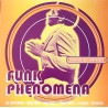 Funk Phenomena - 12 Explosive Jazz & Funk Nuggets (Triple Vinyl) Meters / Isaac Hayes / Calender / Dennis Coffey