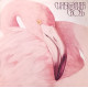 Christopher Cross - Another Page (10 Track LP) All Right / Think Of laura / Long World / Baby Says No (Yacht Rock Classic)