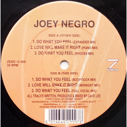 Joey Negro - Do What You Feel (4 Mixes) / Love Will Make It Right (Piano Mix / Midnight Mix)