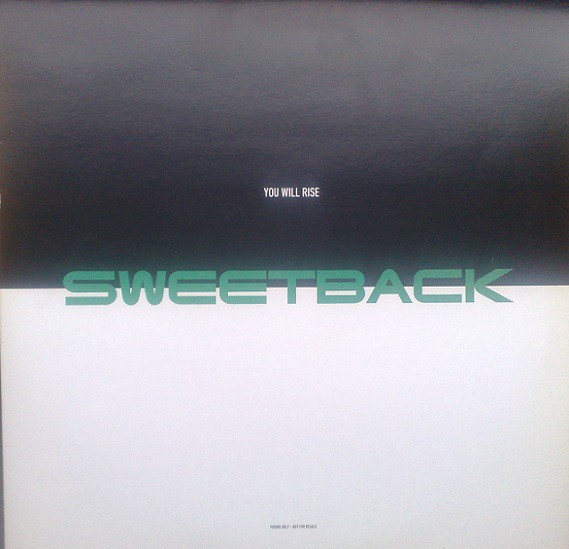 Sweetback - You will rise (Goldfingahs mix / Spacegoat mix / Deliverence Prayer Bowl mix / Cottonbelly's PG mix) 12" Vinyl