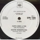 Earth Wind & Fire - Boogie wonderland (Original Extended Version) Very Rare 10inch Promo.