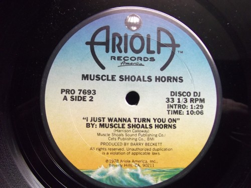 Muscle Shoals Horns - I just wanna turn you on / Robert John - Give a little (12" Vinyl Record)