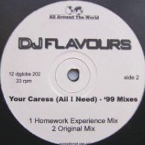 DJ Flavours - Your caress (Original mix / Disco Mission mix / Global mix / Homework Experience mix) Vinyl Promo
