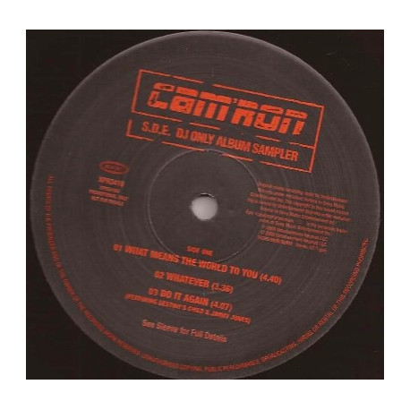 Camron - SDE LP Sampler featuring What means the world to you / Whatever / Do it again (feat Destinys Child) / Violence (feat Ol