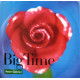 Peter Gabriel - Big time (Extended Version / 7" Version) / Curtains (12" Vinyl Record)