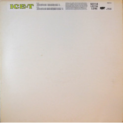 Ice T - Gotta lotta love (Tubular Bells mix / Tubular Bells Dub / Ronin B mix / Ronin B Dub) Promo