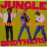 Jungle Brothers - What u waitin 4 (Jungle fever mix / Love ride mix / LP Mix) / J Beez comin through (LP Mix) SEALED