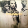 Urban Species - The experience EP featuring The experience / No particular title / The ropes (12" Vinyl Record)