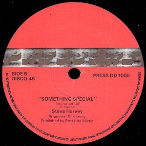 Steve Harvey - Something special (Original mix / Instrumental) 12" Vinyl Record