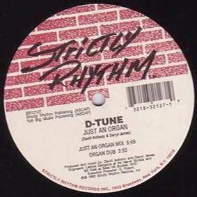 D Tune - Just an organ (2 mixes) / Getting bigger (2 mixes) 12" Vinyl Record
