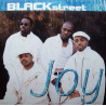 Blackstreet - Joy (LP Version / New Carnegie mix / Uptown Joy Long / Cool Joy / Quiet Storm / Uptown Joy Short) 12" Vinyl Record