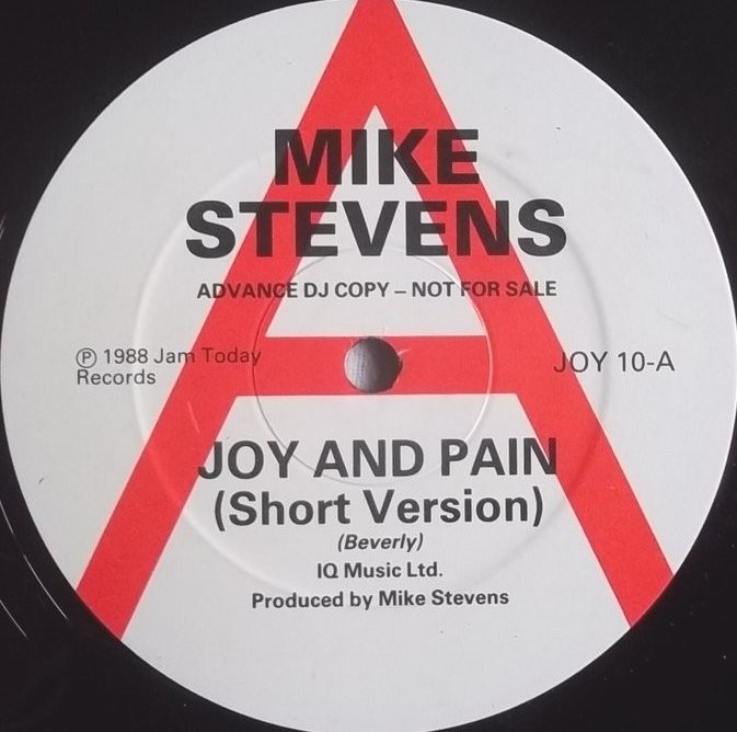Mike Stevens - Joy and Pain (12" Vinyl Record Promo)