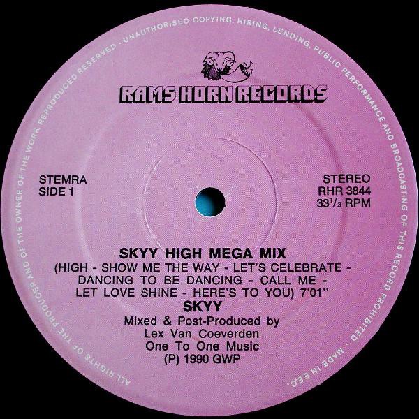 New York Skyy - Megamix / Beatin the skyy (12" Vinyl Record)