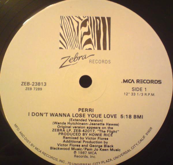 Perri - I Dont Wanna Lose Your Love (Extended / Short / Dub / Beats) 12" Vinyl Record