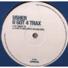 Usher - LP Sampler feat  If I want to / U got it bad (Tee's Mix) / U turn / I dont know (feat Puff Daddy) LP Vinyl Record Promo
