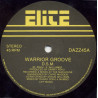 DSM - Warrior groove (Original mix / Ashante mix) 12" Vinyl Promo