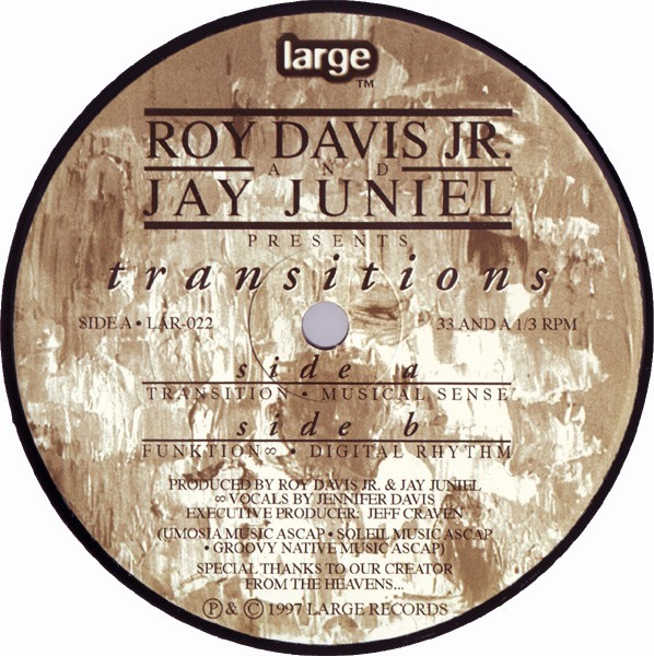 Roy Davis Jnr & Jay Juniel - Transitions / Musical Sense / Funktion / Digital Rhythm (12" Vinyl Record)