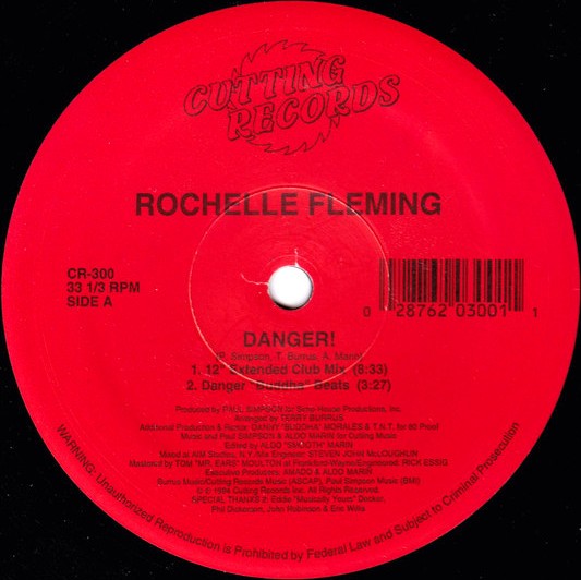 Rochelle Fleming - Danger (4 Mixes) 12" Vinyl Record