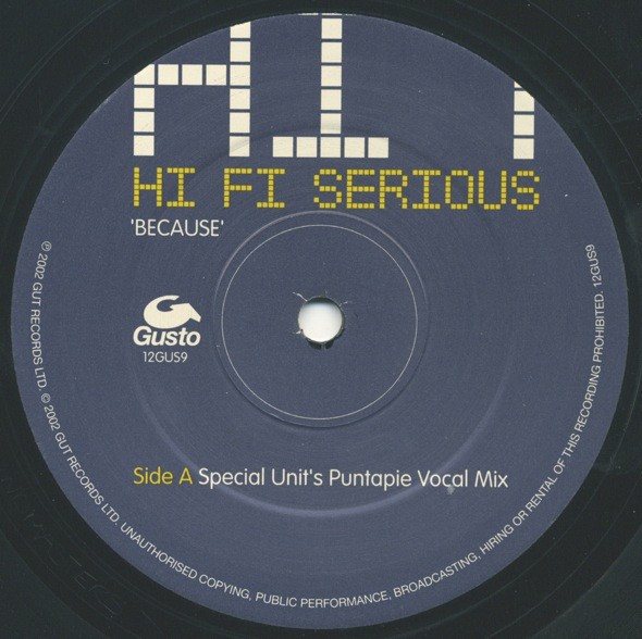 Hi Fi Serious - Because (Special Unit mix / Max Reich mix) 12" Vinyl Promo