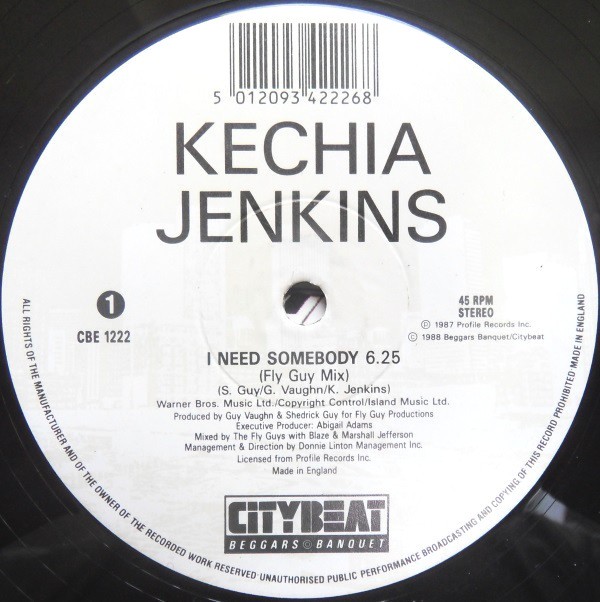 Kechia Jenkins - I need somebody (Marshall Jefferson's Chicago mix / Blaze Fly Guy mix / Kechiappella)