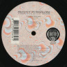 Mount Rushmore - I got the music in me (Pegasus Extended mix / Pegasus Dub / Accadub) 12" Vinyl