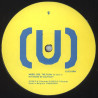 Model 500 - The flow (Howie B mix / Jedi Knights mix / Frank De Wulf mix) 12" Vinyl