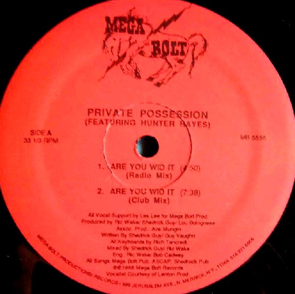 Private Possession featuring Hunter Hayes - Are you wid it (Club mix / Radio mix / Dub Mess / Instrumental) Vinyl