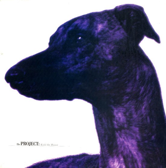 Project - Kick the house (House mix / Hardcore Version / The roughcut) / Roboy (Vinyl 12").