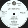 Joe Roberts - Back in my life (2 Original Eric Gooden mixes) Vinyl Promo