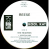 Reese - Youre mine (Hardcore Hiphouse mix) / The heavens (David Morales Spiritual mix / Derrick May mix) Vinyl Promo